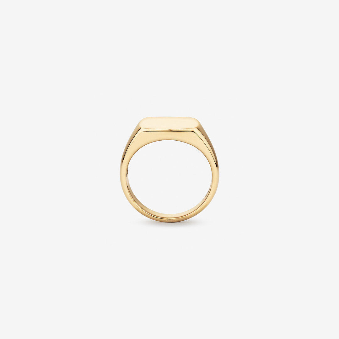 Signet Men's Wedding Band in Solid Gold 2