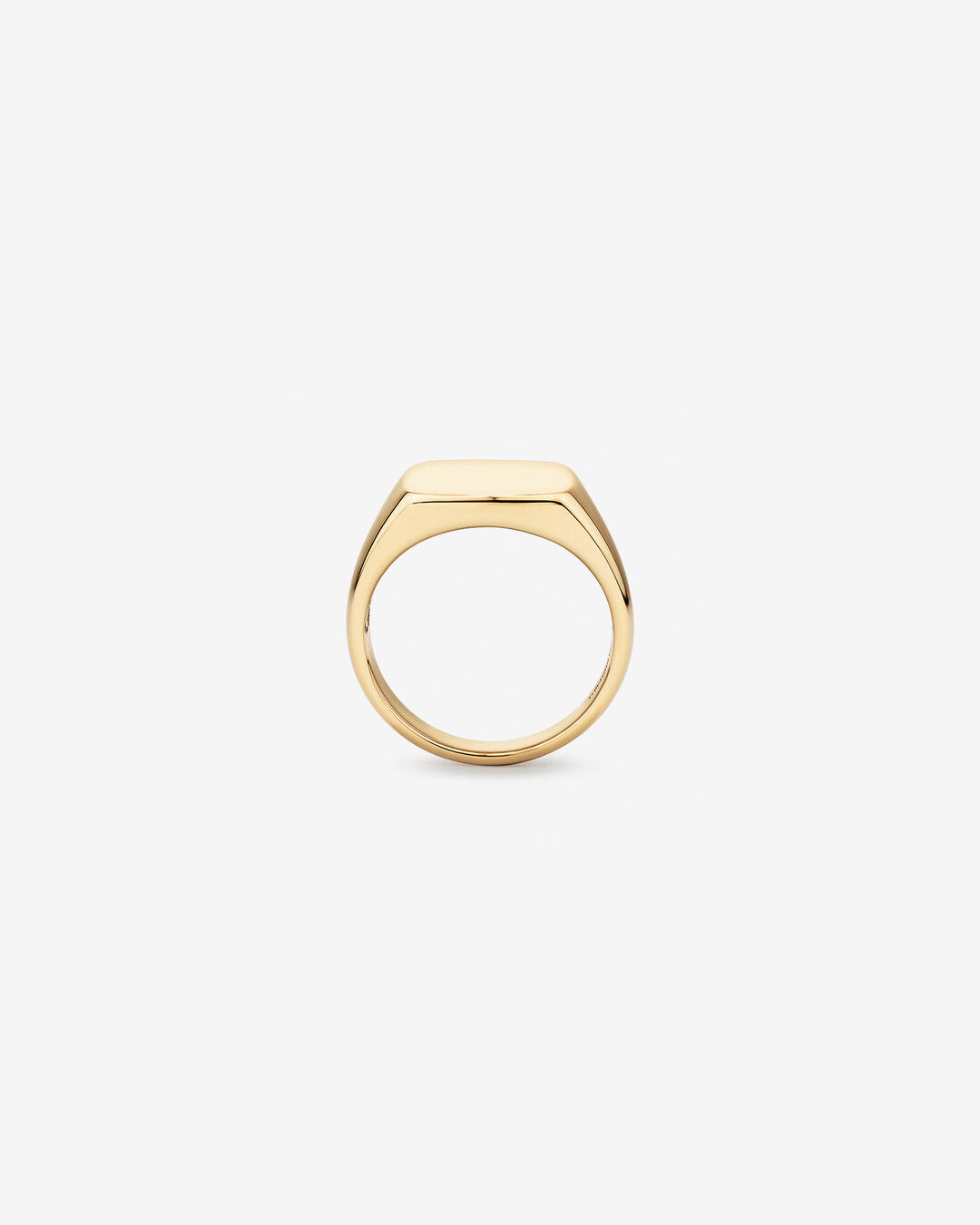 Signet Men's Wedding Band in Solid Gold 2