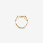 Signet Men's Wedding Band in Solid Gold 2