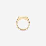 Signet Men's Wedding Band in Solid Gold 2