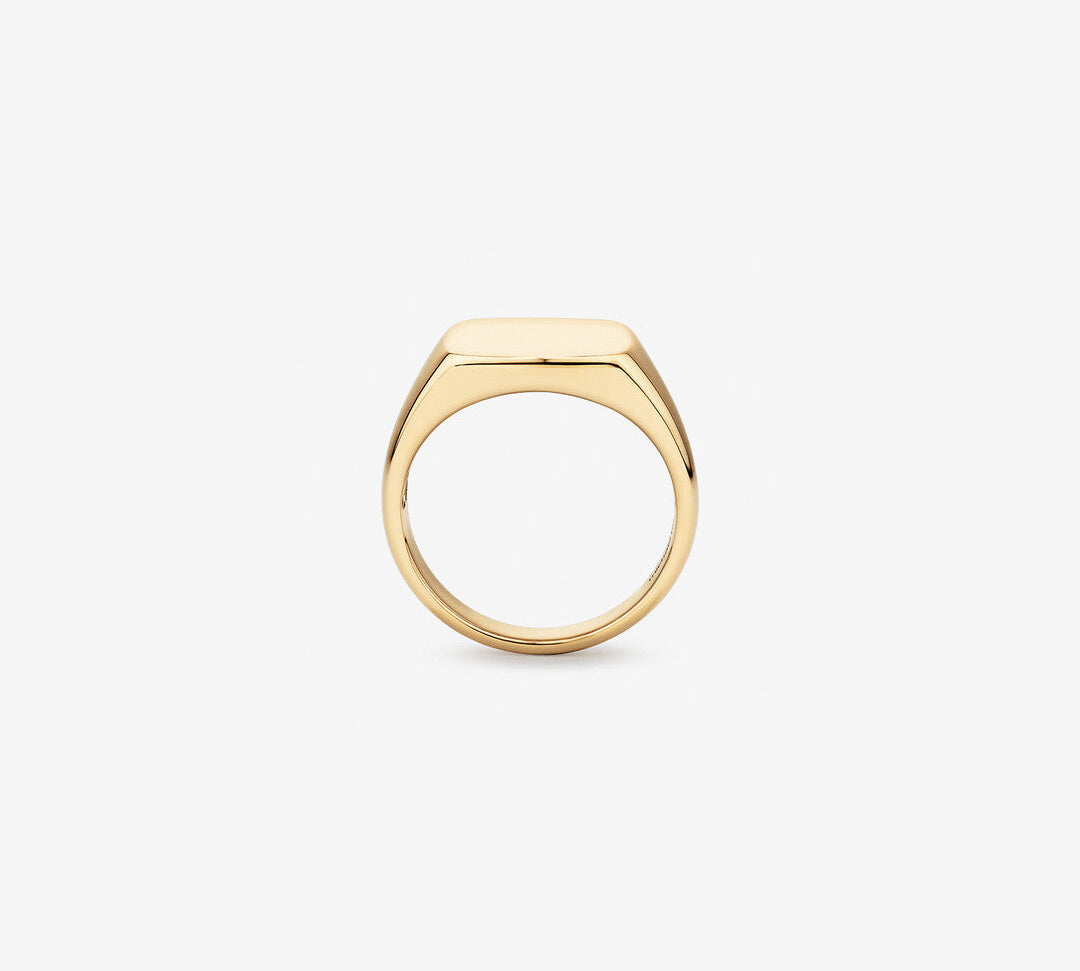 Signet Men's Wedding Band in Solid Gold 2