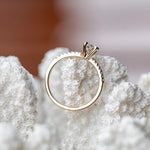 Round Cut Pave Lab Grown Diamond Engagement Ring