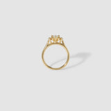 Marquise Three Stone Moissanite Engagement Ring