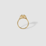 Marquise Three Stone Moissanite Engagement Ring