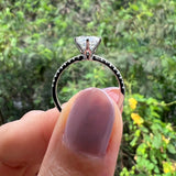 OW036