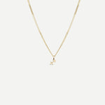 Tiny Zodiac Necklace