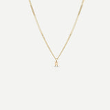 Tiny Zodiac Necklace