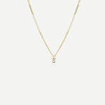 Tiny Zodiac Necklace