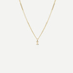 Tiny Zodiac Necklace