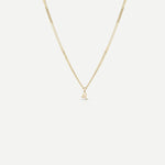 Tiny Zodiac Necklace