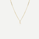 Tiny Zodiac Necklace