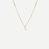 Tiny Zodiac Necklace