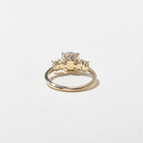 Round Lab Grown Diamond Three Stone Engagement Ring