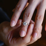 Solid Gold Twist Wrap Shank Solitaire Round Cut Moissanite Engagement Ring