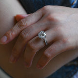 Solid Gold Twisted Band Round Cut Moissanite Engagement Ring Tulip Set