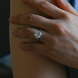 Solid Gold Twisted Band Round Cut Moissanite Engagement Ring Tulip Set