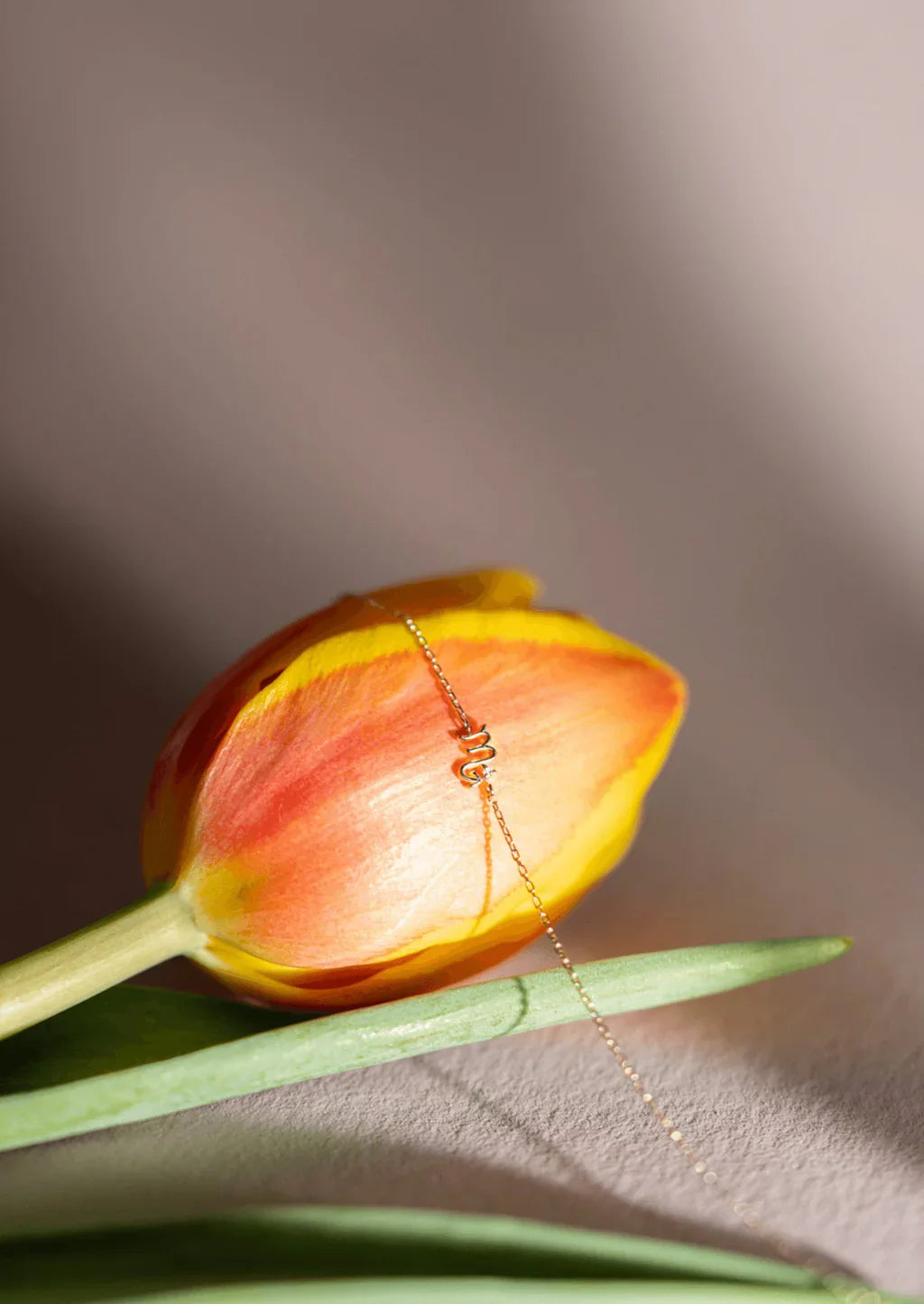 0.01 TCW Round Cut Moissanite Single Stone Zodiac Chain Bracelet