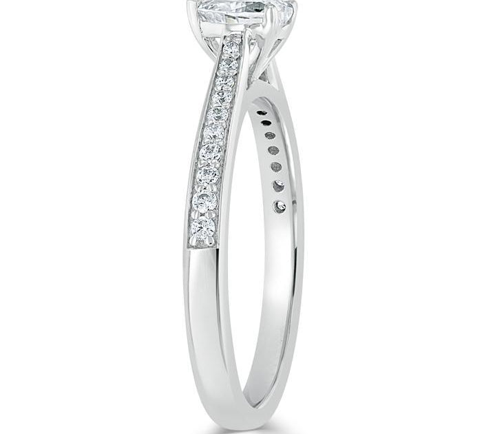 1.0 CT Heart Cut Solitaire Channel Pave Moissanite Engagement Ring 3